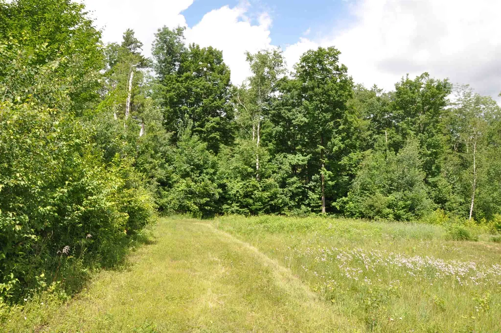 Three Maple Drive Manchester VT 05255