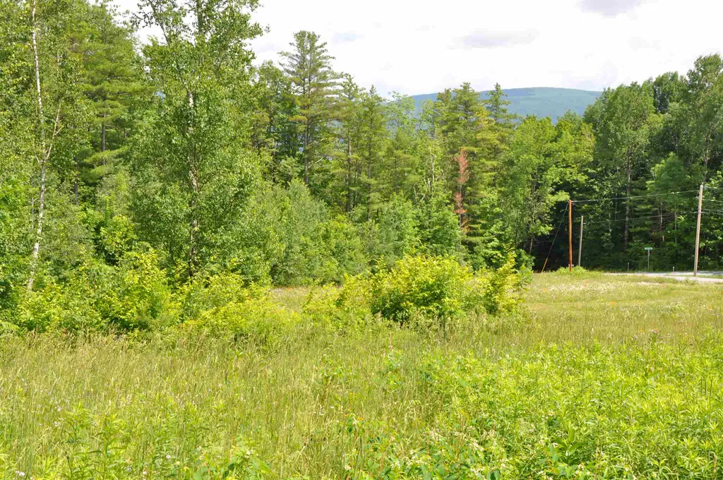 Three Maple Drive Manchester VT 05255