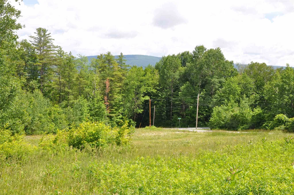 Three Maple Drive Manchester VT 05255