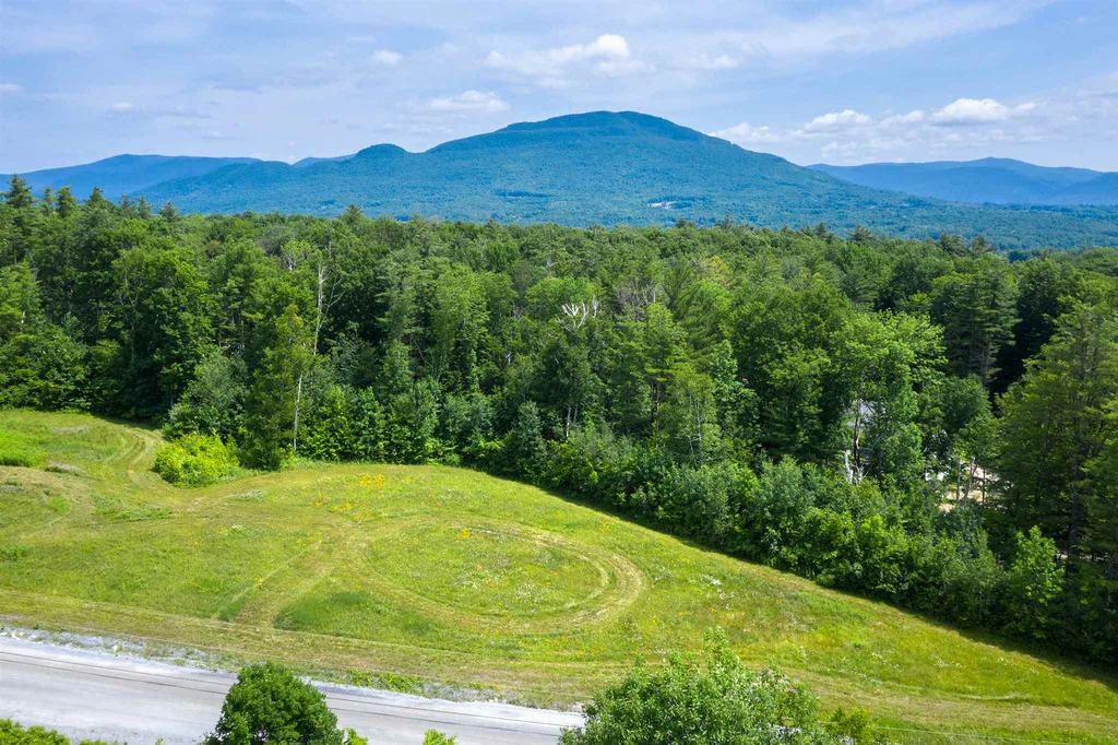 Three Maple Drive Manchester VT 05255