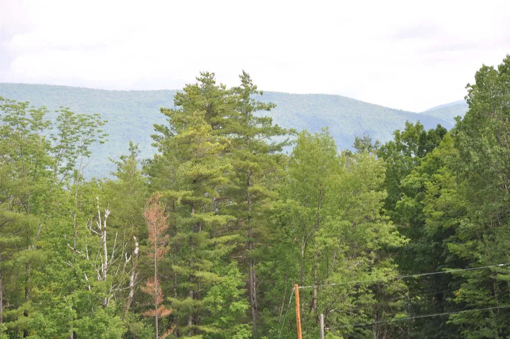 Three Maple Drive Manchester VT 05255