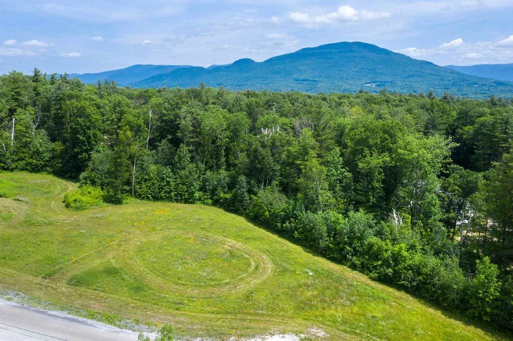 Three Maple Drive Manchester VT 05255