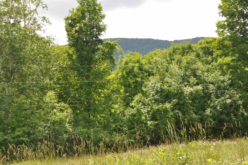 Three Maple Drive Manchester VT 05255