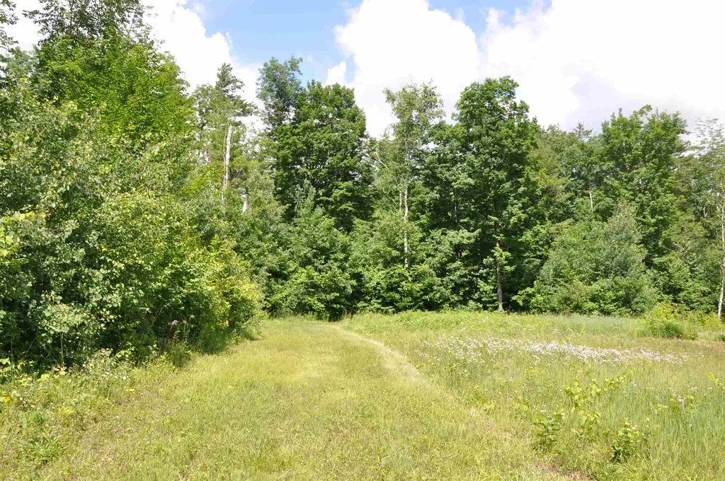 Three Maple Drive Manchester VT 05255