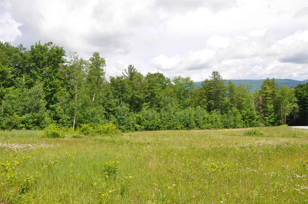 Three Maple Drive Manchester VT 05255