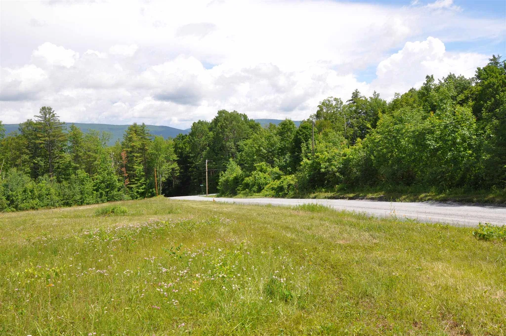 Three Maple Drive Manchester VT 05255
