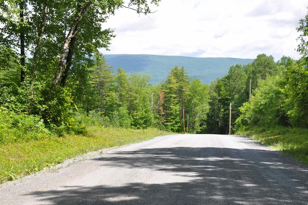 Three Maple Drive Manchester VT 05255