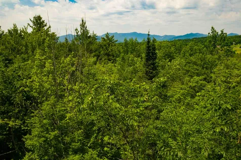 Tbd Lang Farm Road Stowe VT 05672