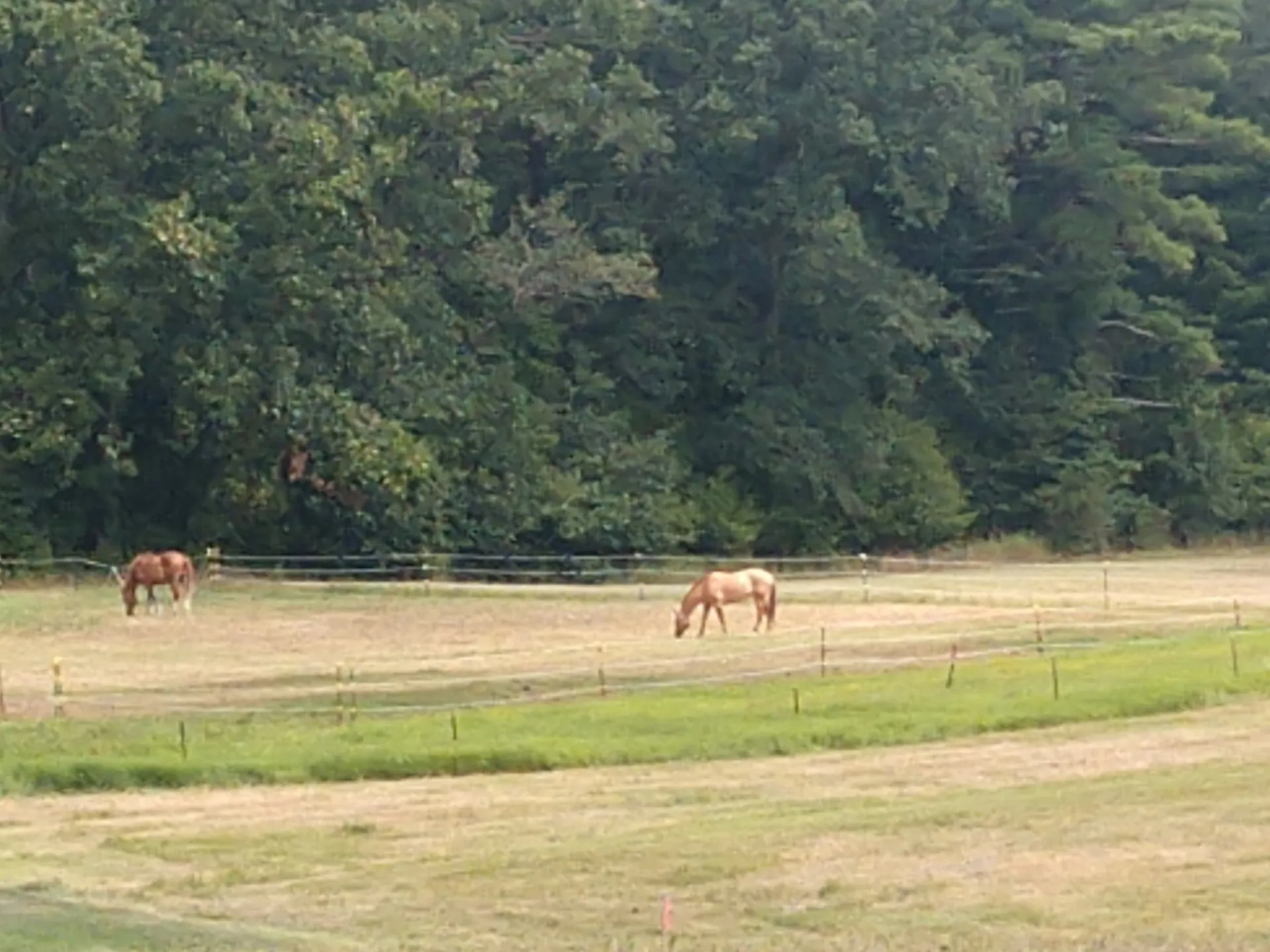 90 North Road East Kingston NH 03827