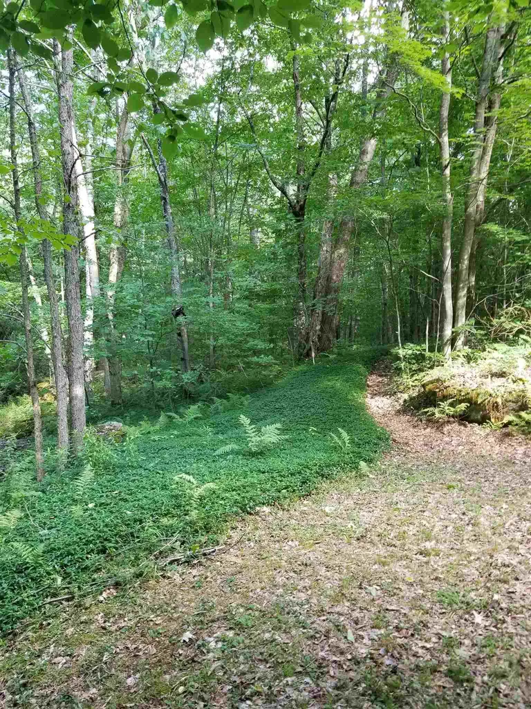 119 Spruce Knob Road Middletown Springs VT 05757