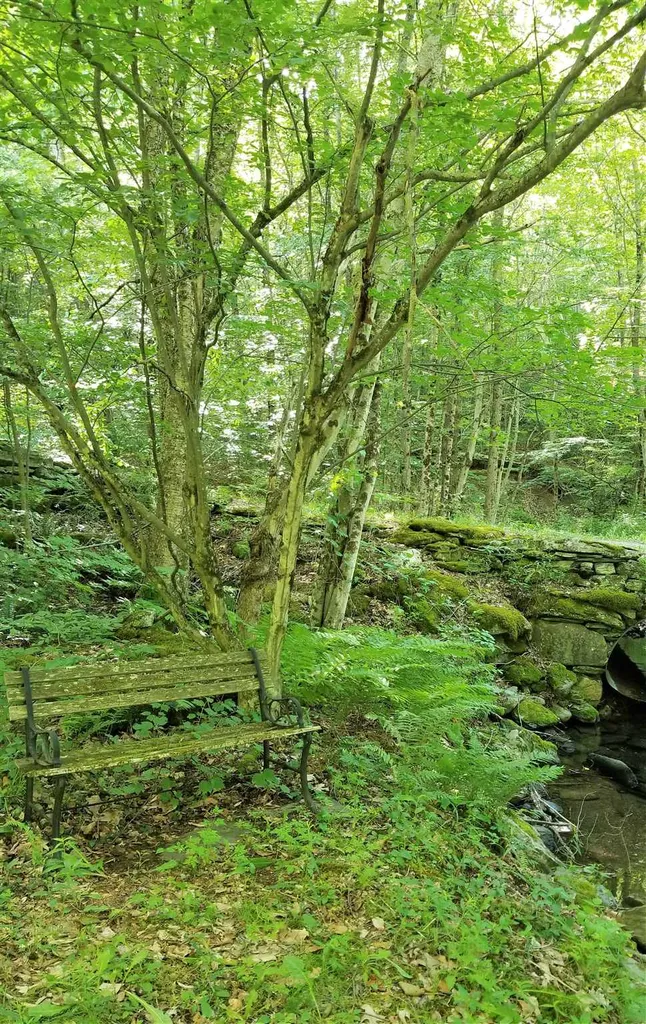 119 Spruce Knob Road Middletown Springs VT 05757