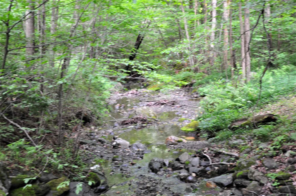 119 Spruce Knob Road Middletown Springs VT 05757