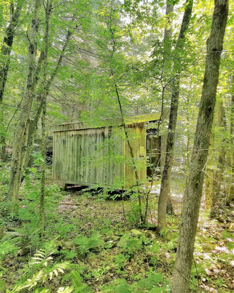 119 Spruce Knob Road Middletown Springs VT 05757