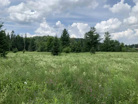 1881 Vt Route 114 East Haven VT 05837