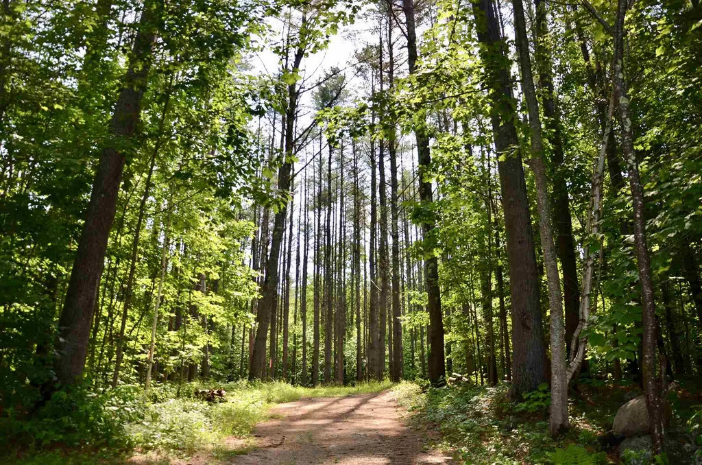Lot 45/46 Butternut Lane Holderness NH 03245