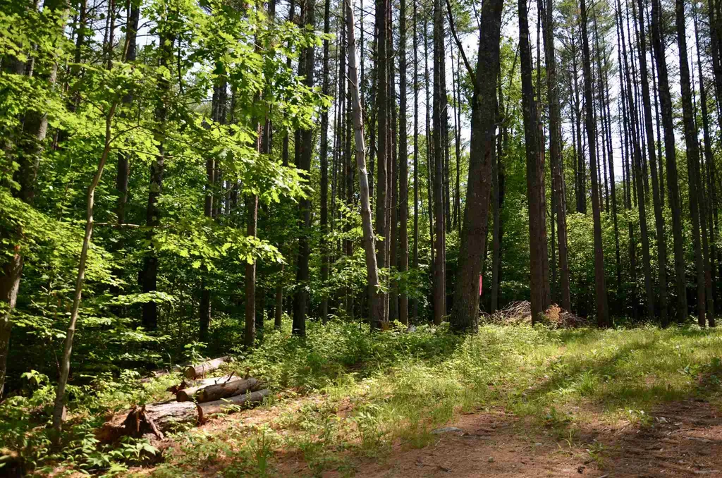 Lot 45/46 Butternut Lane Holderness NH 03245