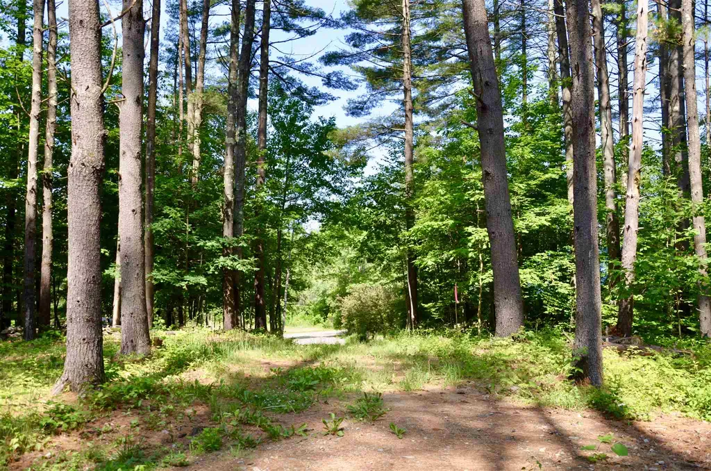 Lot 45/46 Butternut Lane Holderness NH 03245