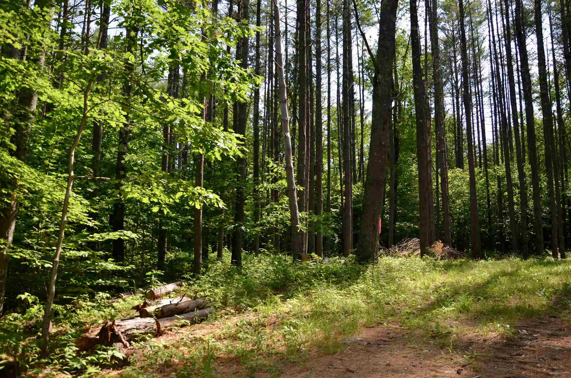Lot 45/46 Butternut Lane Holderness NH 03245