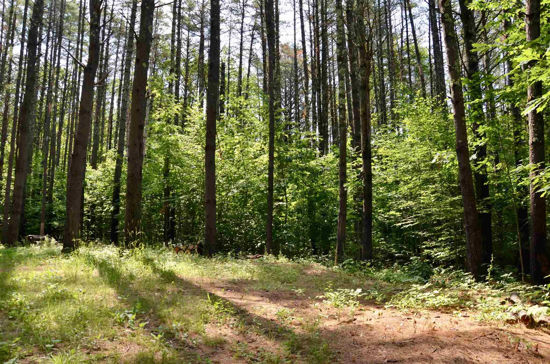 Lot 45/46 Butternut Lane Holderness NH 03245