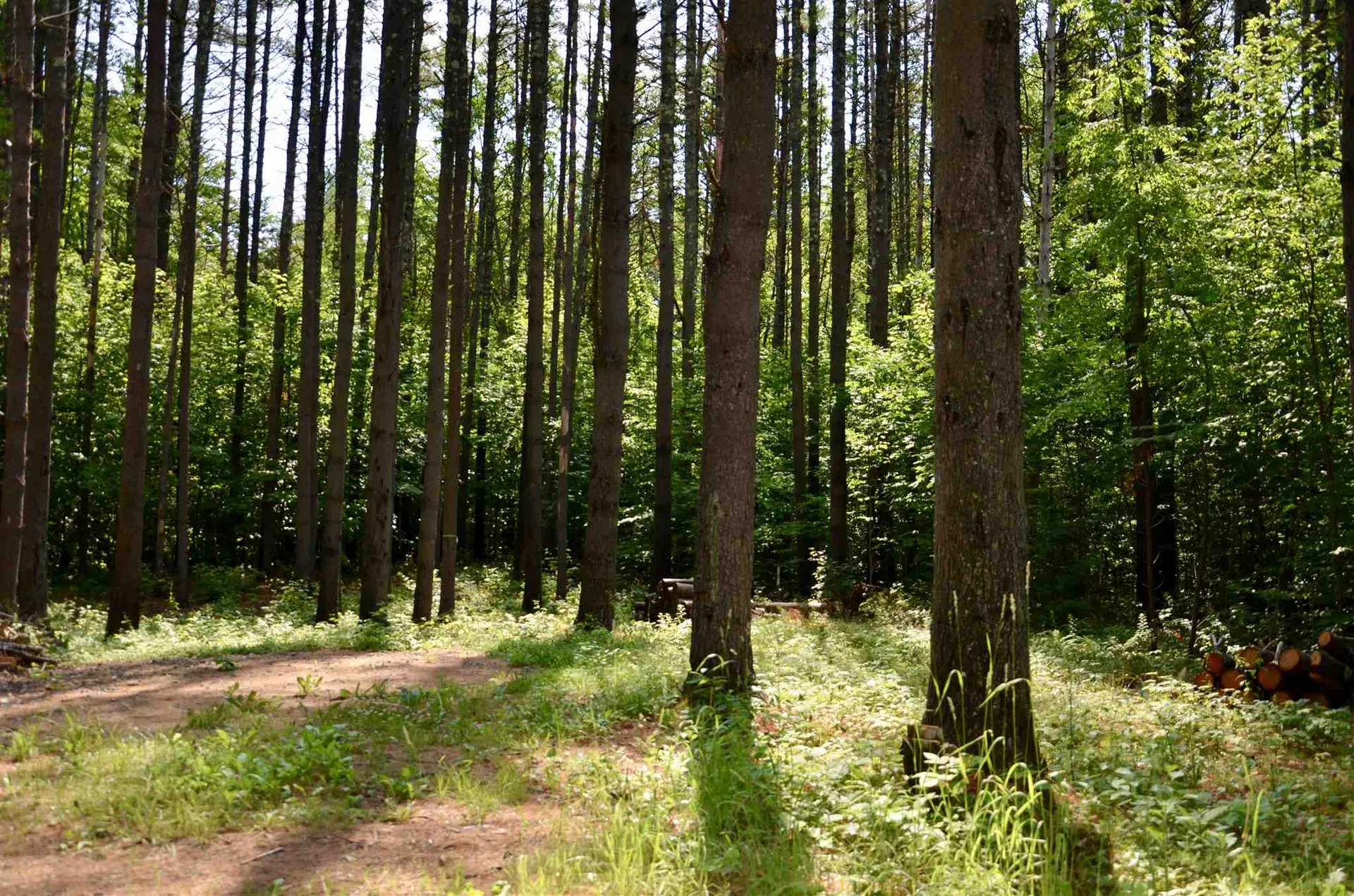 Lot 45/46 Butternut Lane Holderness NH 03245