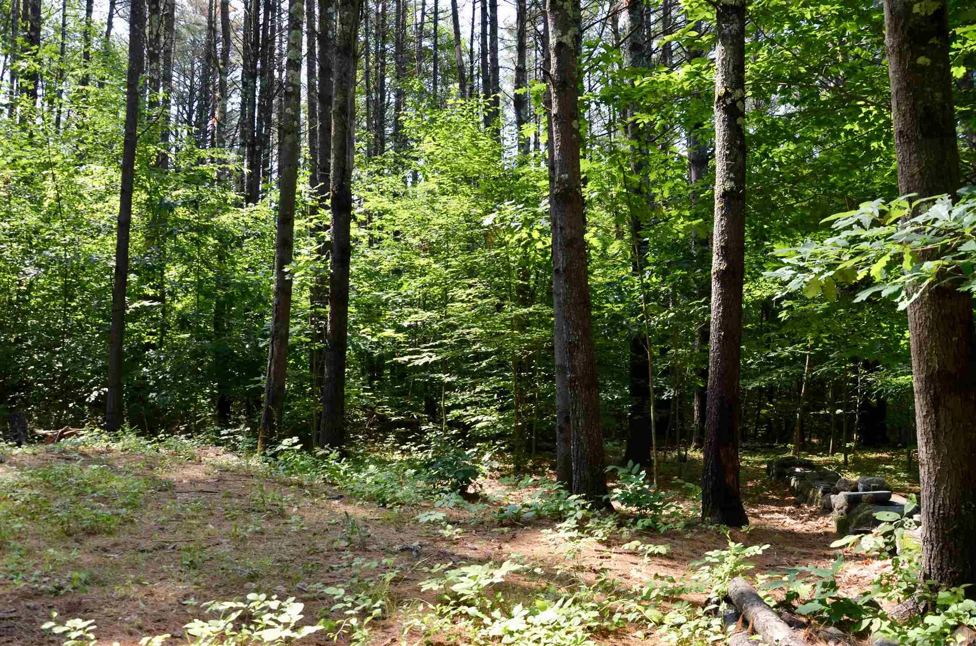 Lot 45/46 Butternut Lane Holderness NH 03245