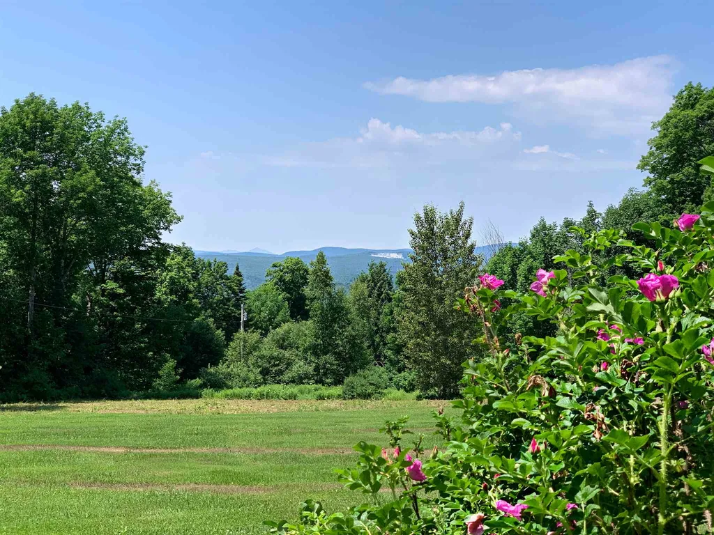 169 Smith Road Cabot VT 05647