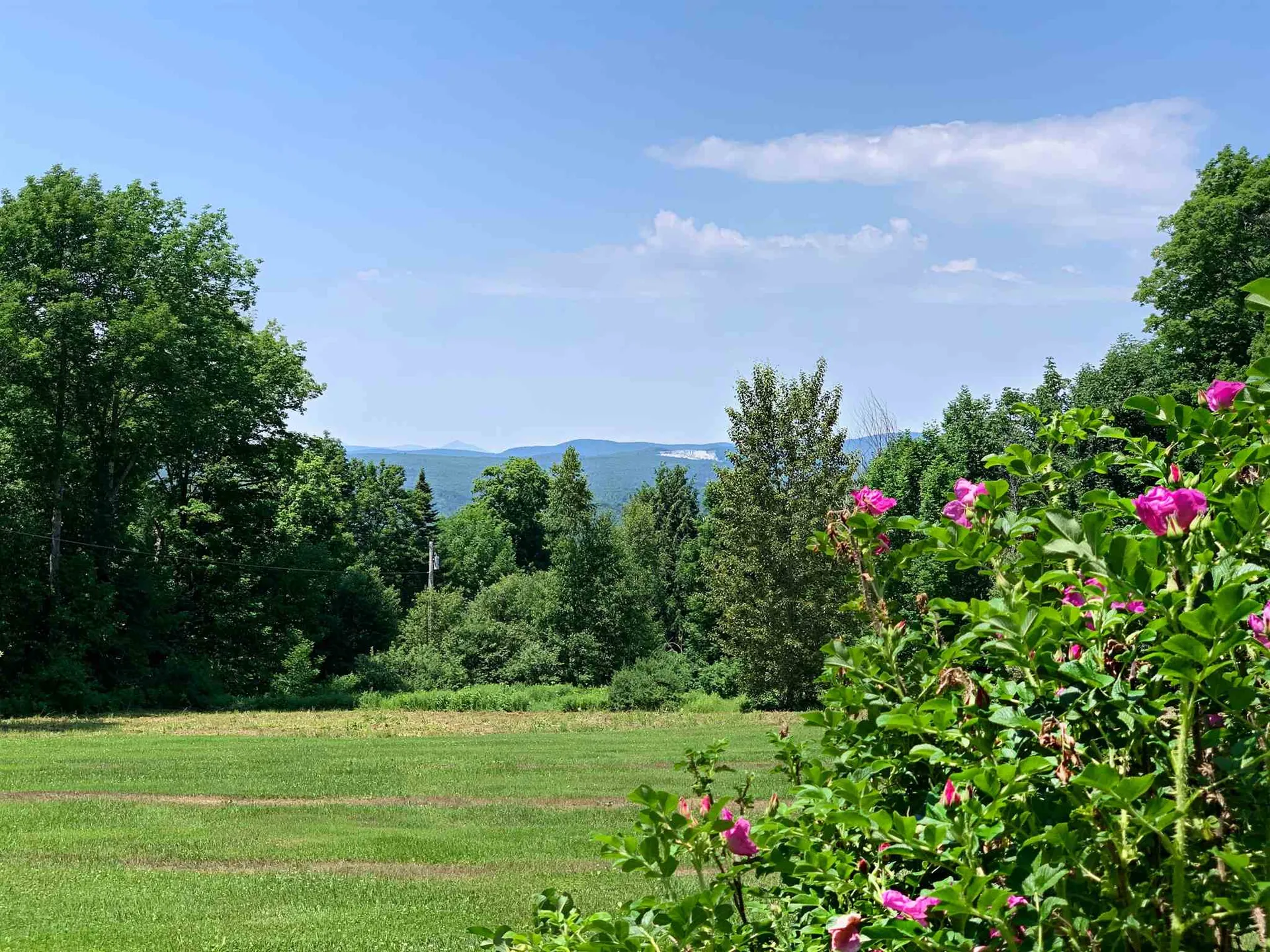 169 Smith Road Cabot VT 05647