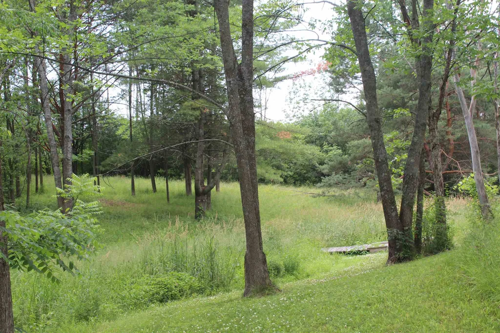 485 Main Street Orwell VT 05760