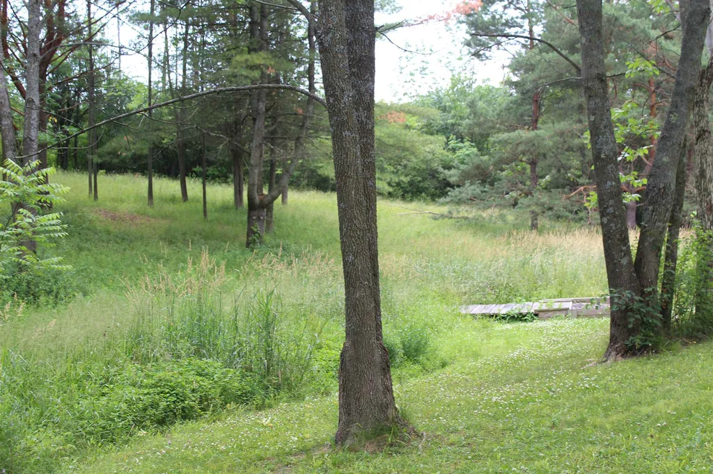 485 Main Street Orwell VT 05760