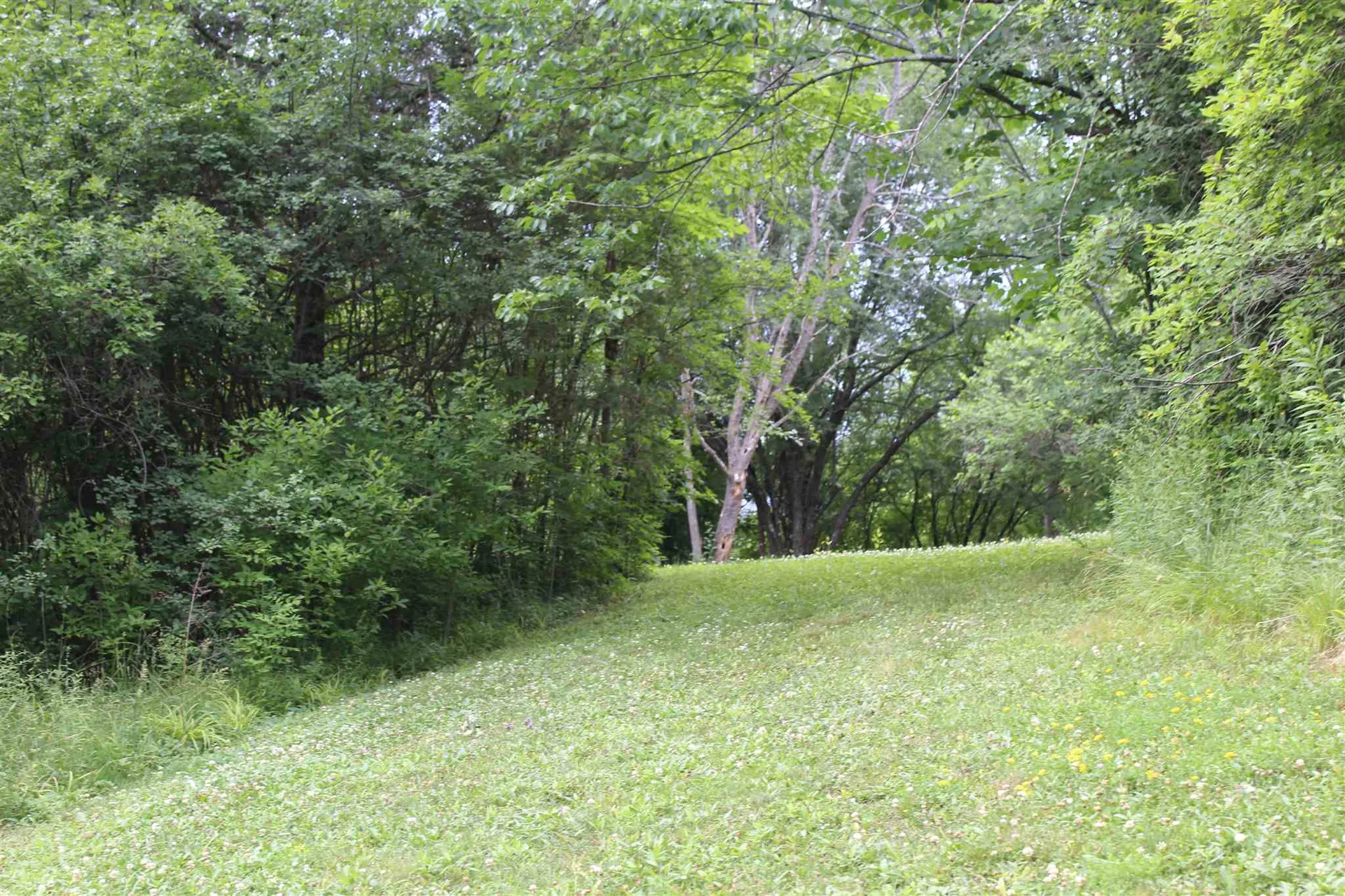 485 Main Street Orwell VT 05760