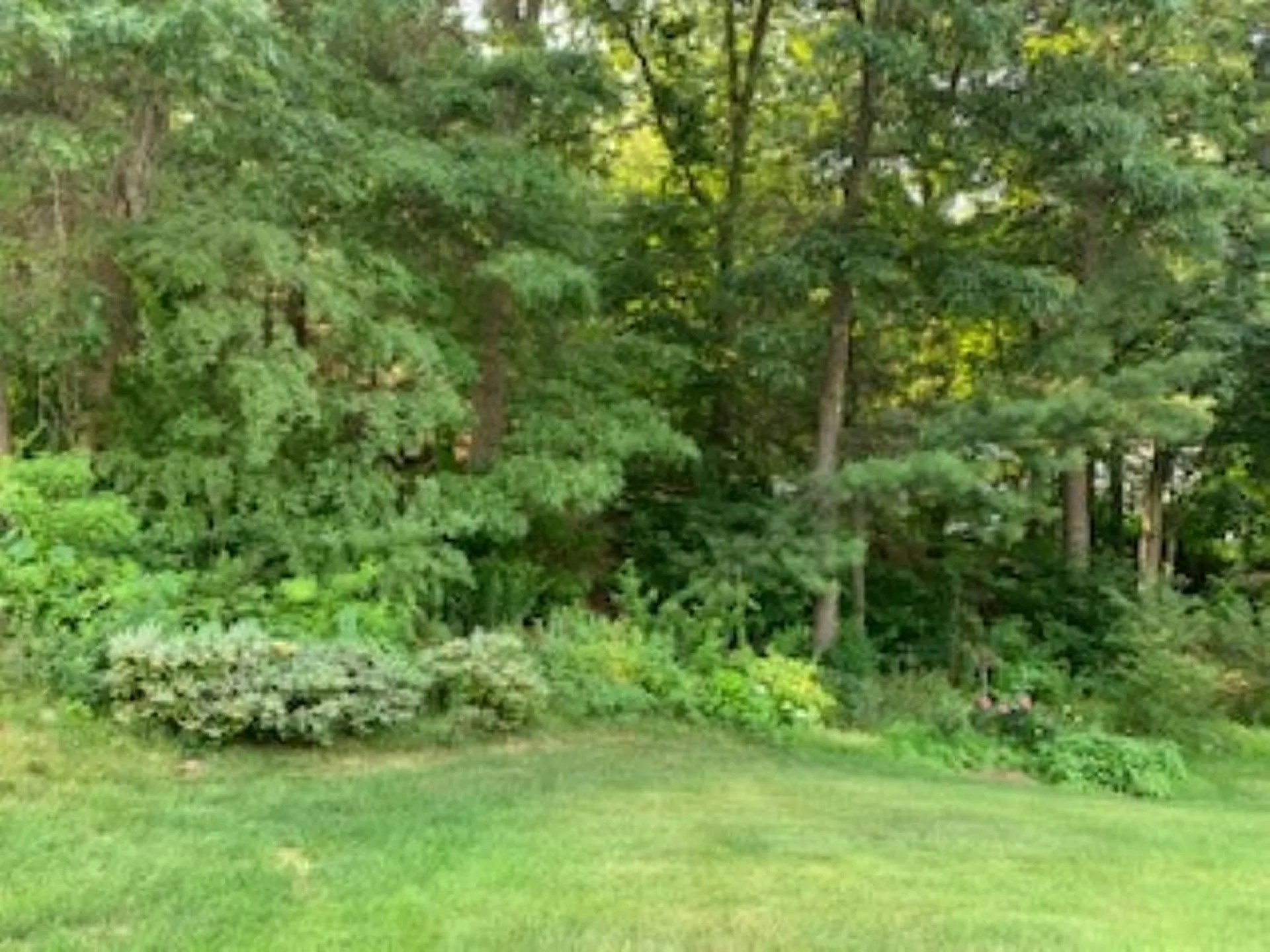 2 Smokey Lane Nashua NH 03062