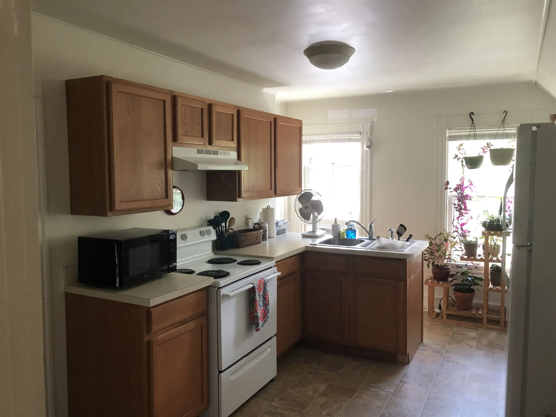 46 Grove Street Burlington VT 05401