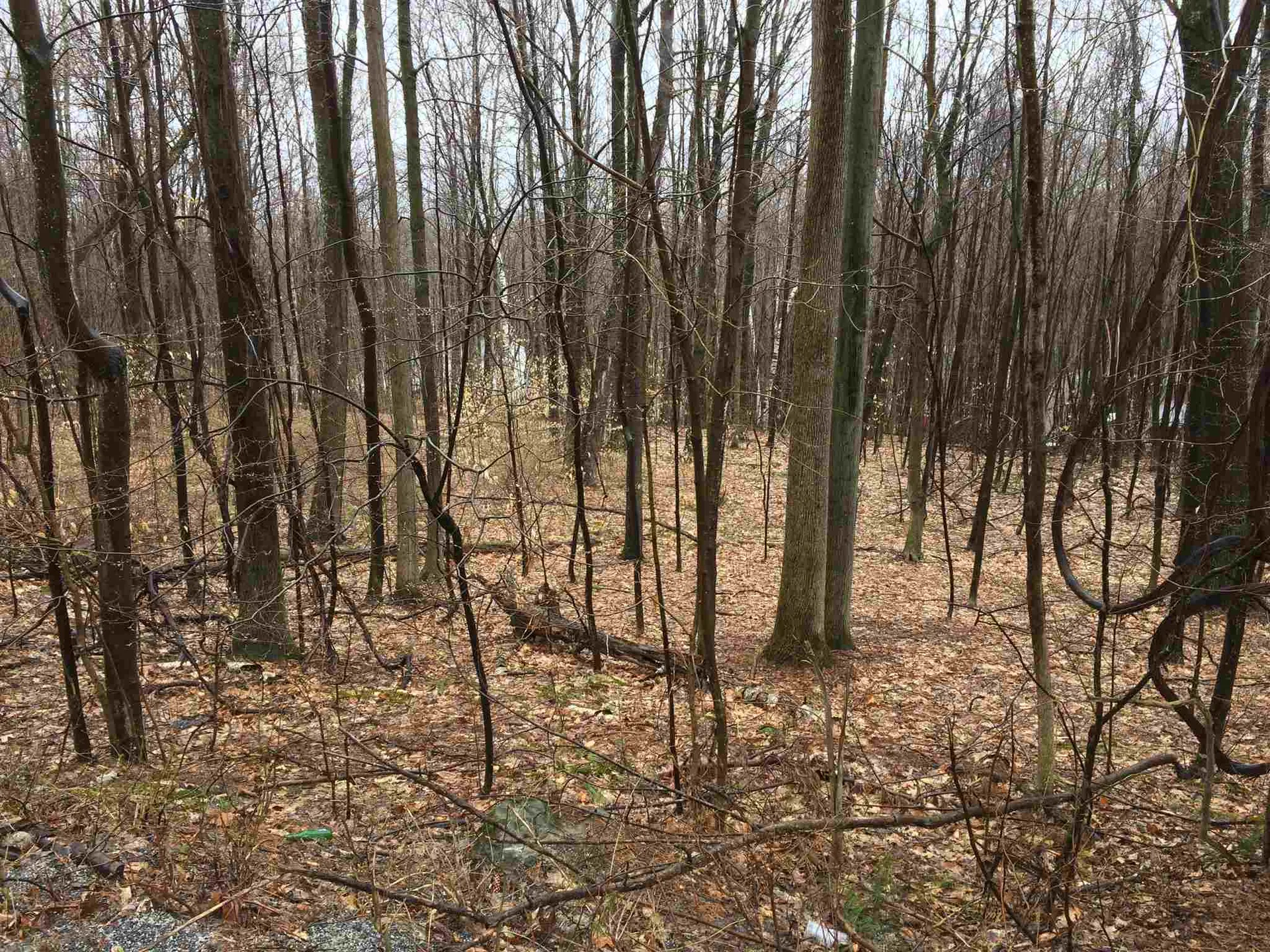 0 Farm Road Arlington VT 05250