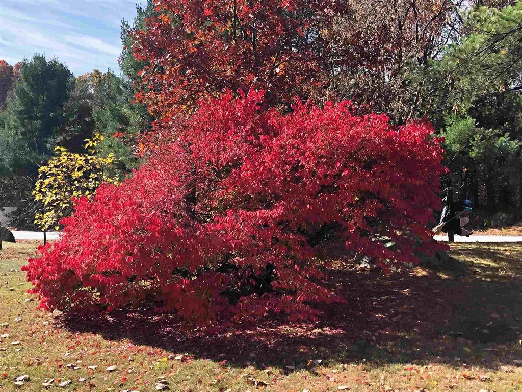 3 Johns Drive Hooksett NH 03106