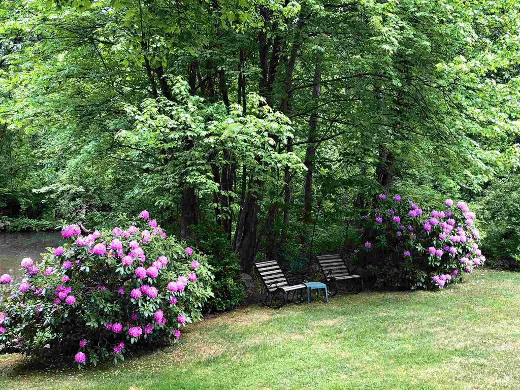 3 Johns Drive Hooksett NH 03106