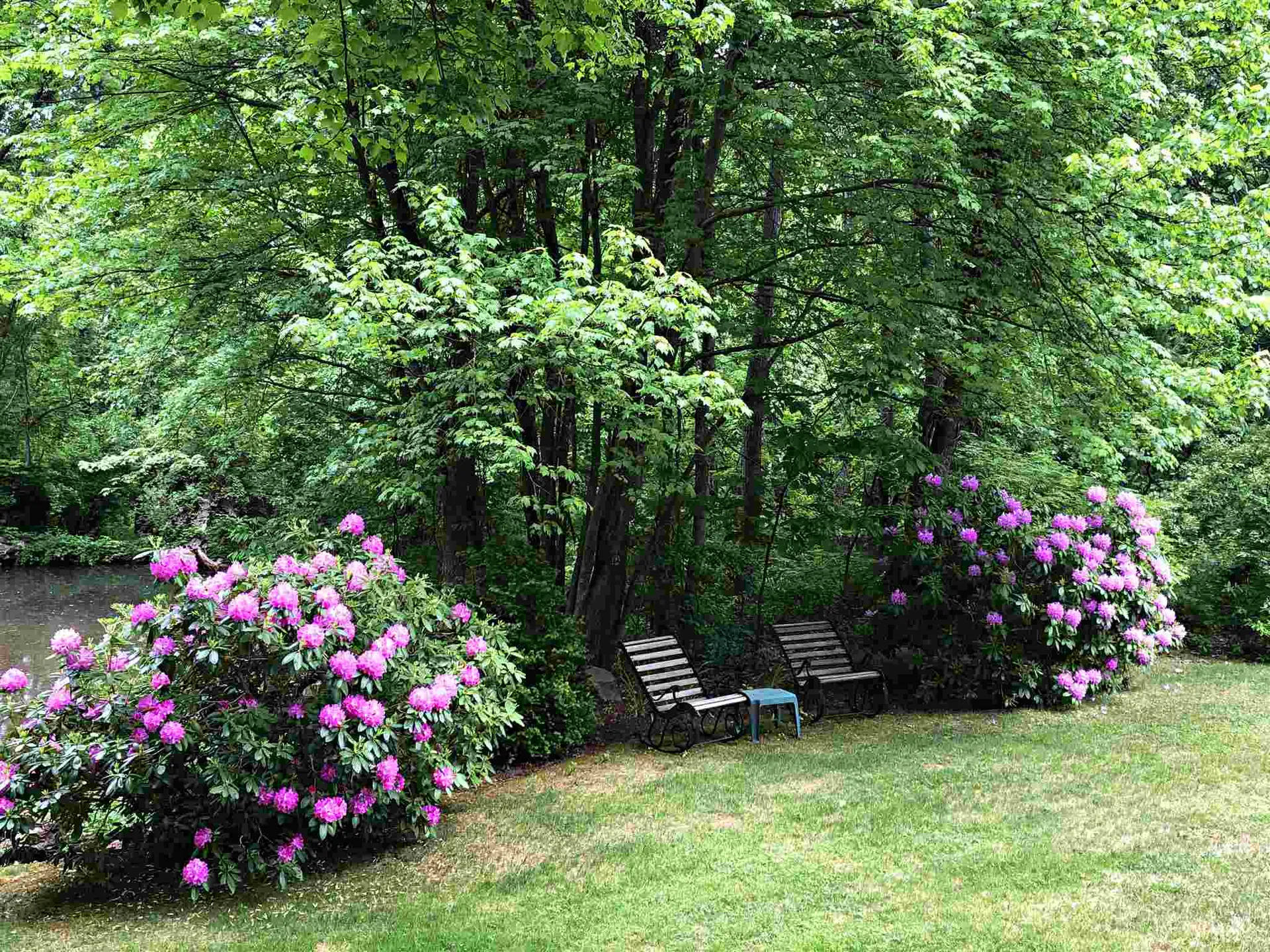 3 Johns Drive Hooksett NH 03106