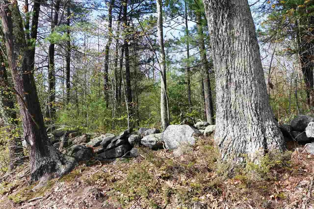 543 Lyndeborough-center Road Wilton NH 03086