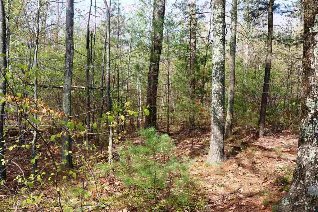 543 Lyndeborough-center Road Wilton NH 03086