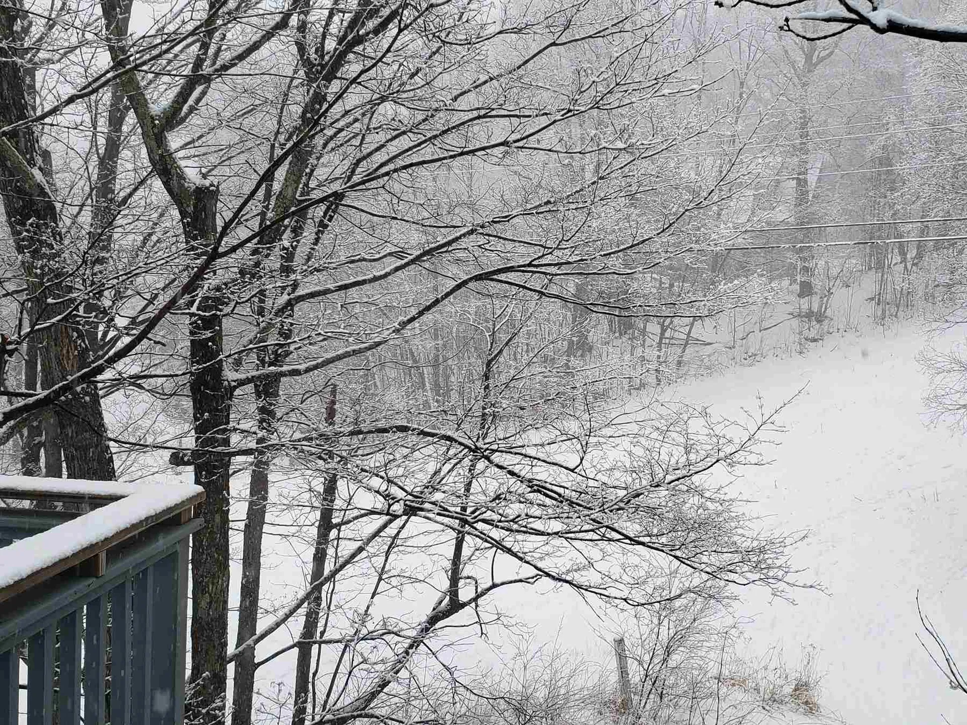 355 Summit Road Warren VT 05674