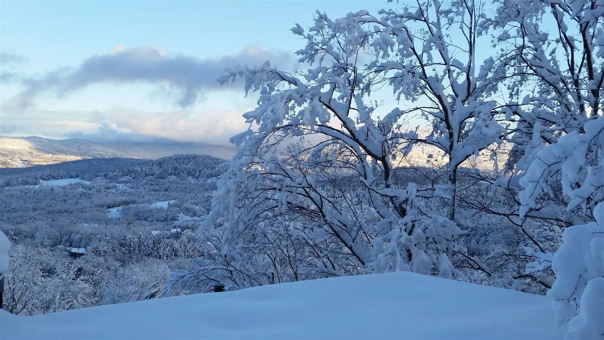355 Summit Road Warren VT 05674