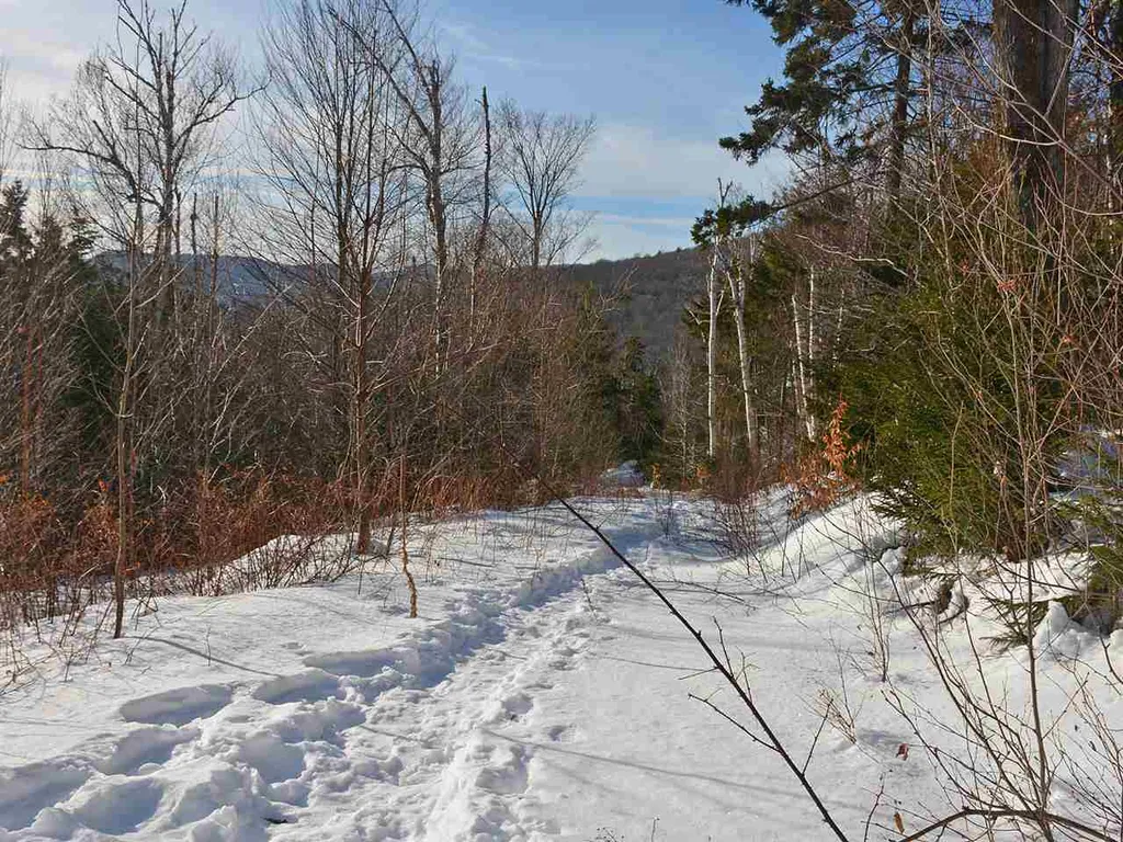 10 Lincoln Ridge Road Warren VT 05674