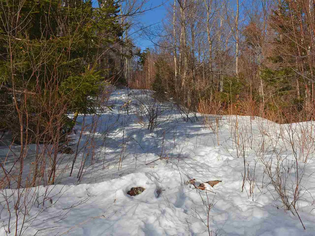 10 Lincoln Ridge Road Warren VT 05674