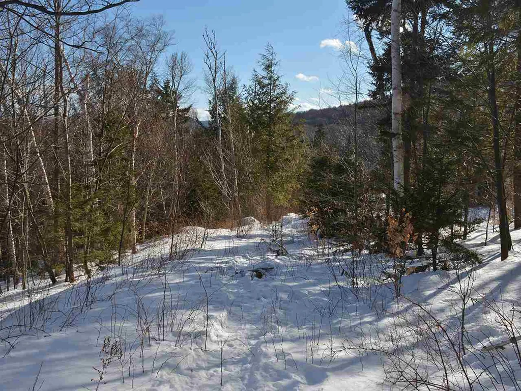 10 Lincoln Ridge Road Warren VT 05674