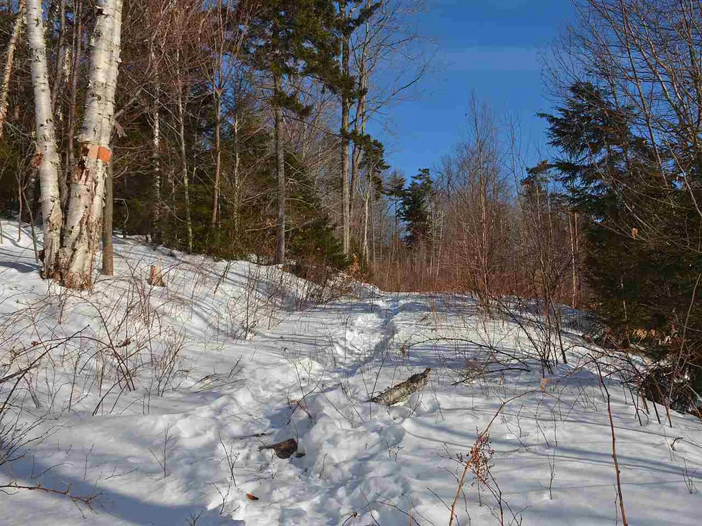 10 Lincoln Ridge Road Warren VT 05674
