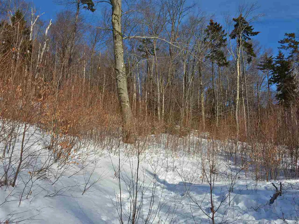 10 Lincoln Ridge Road Warren VT 05674
