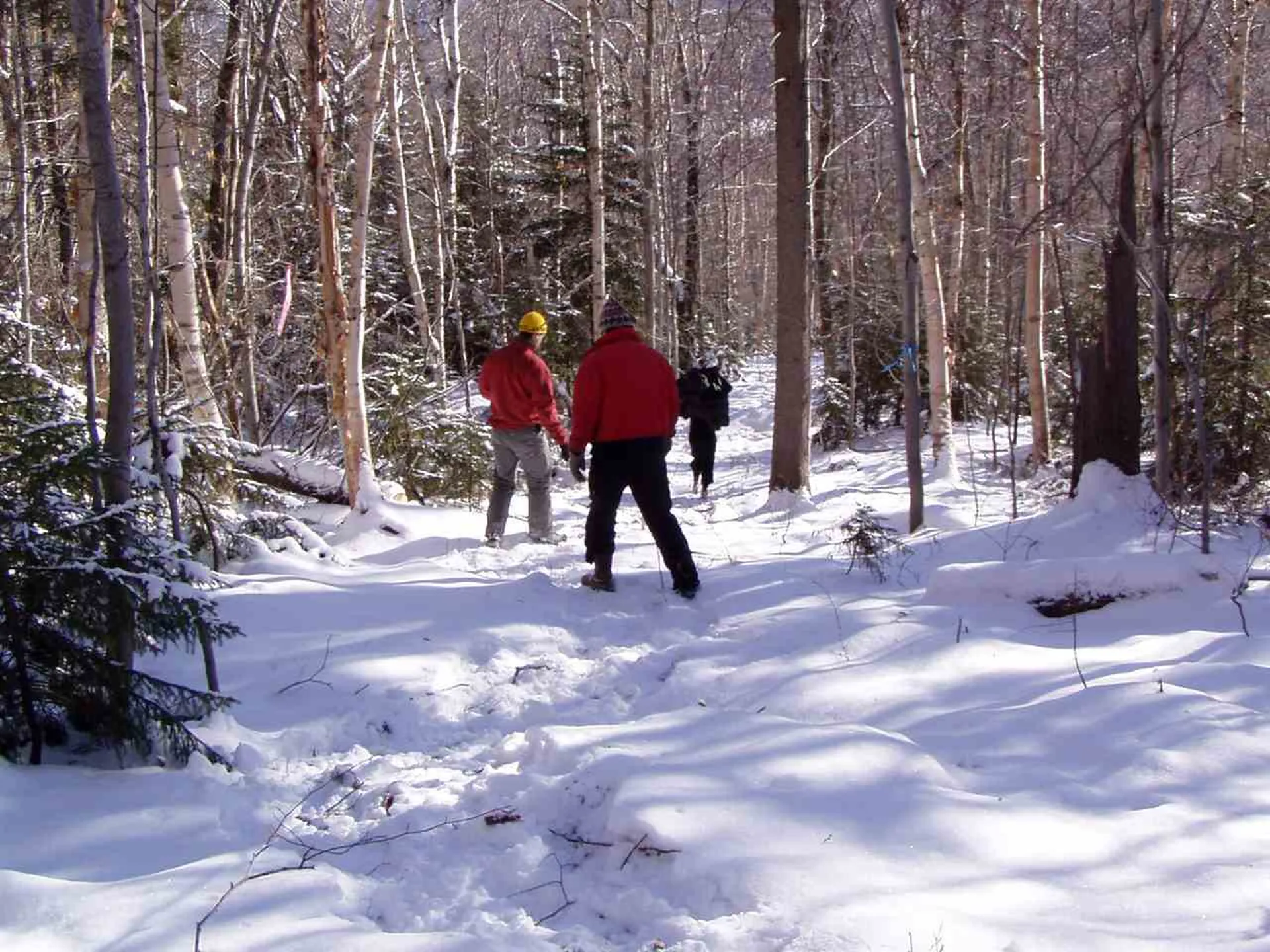 10 Lincoln Ridge Road Warren VT 05674