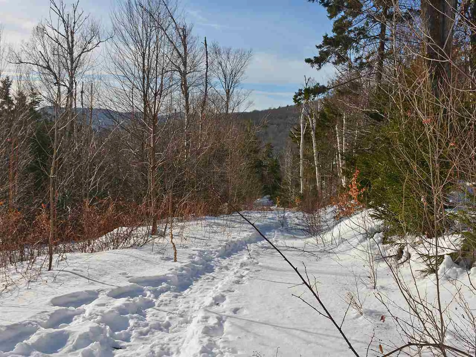10 Lincoln Ridge Road Warren VT 05674