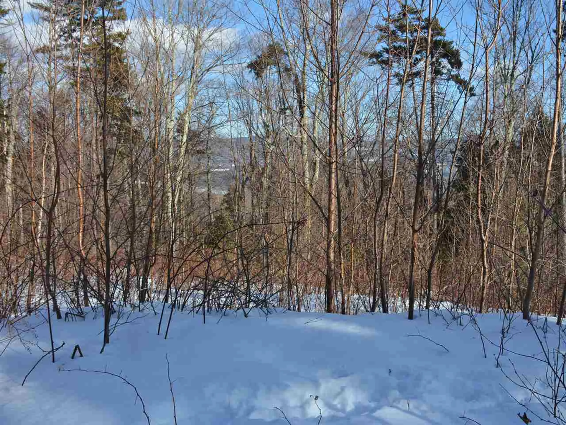 10 Lincoln Ridge Road Warren VT 05674