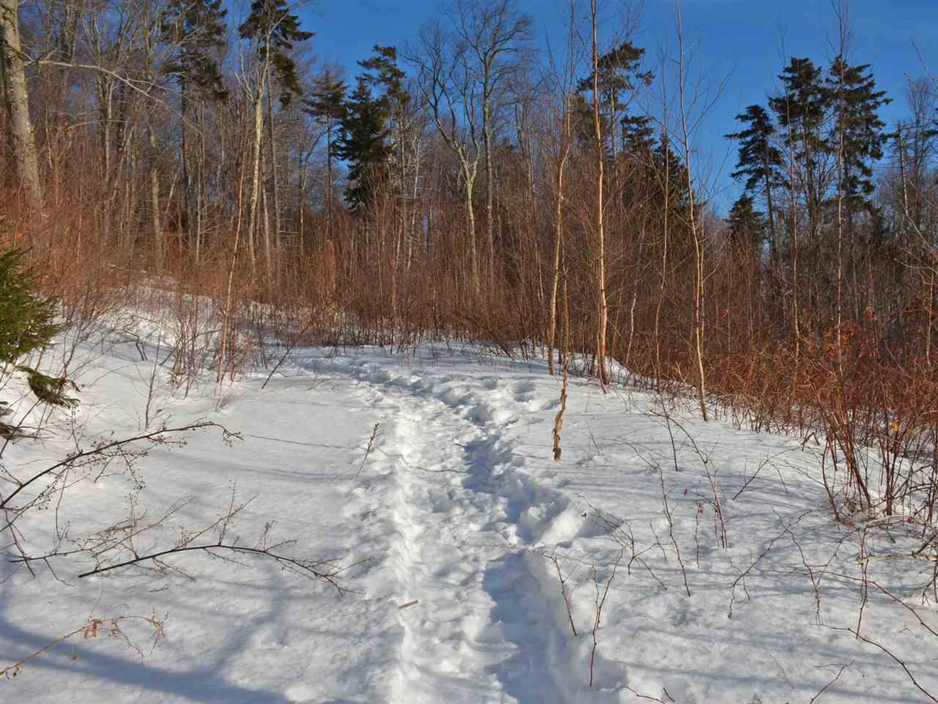 10 Lincoln Ridge Road Warren VT 05674