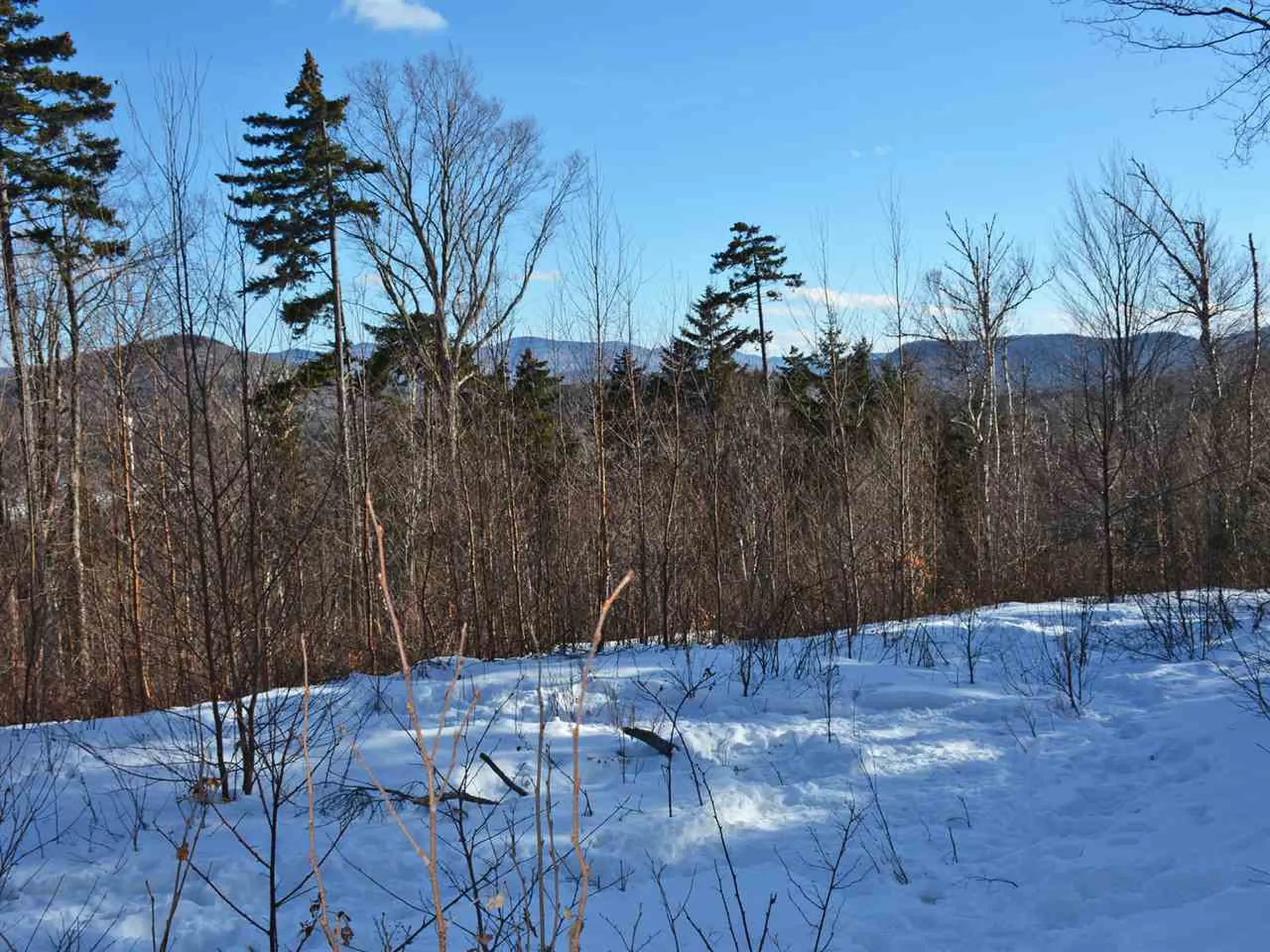 10 Lincoln Ridge Road Warren VT 05674